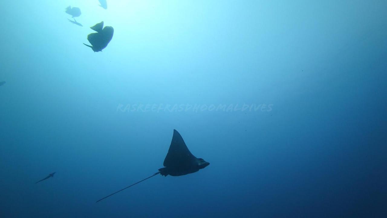 Rasreef Rasdhoo Maldives Ξενοδοχείο Εξωτερικό φωτογραφία