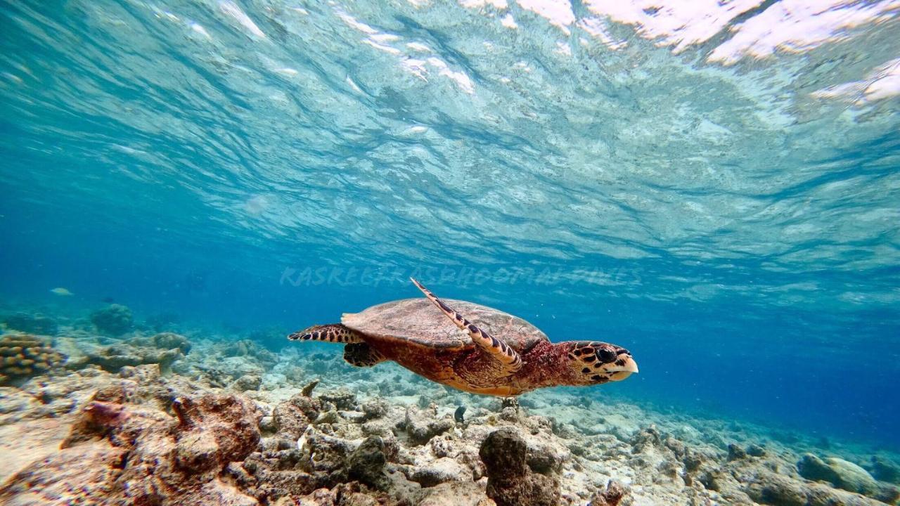 Rasreef Rasdhoo Maldives Ξενοδοχείο Εξωτερικό φωτογραφία