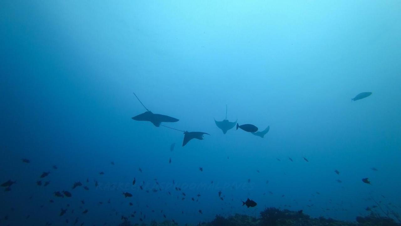 Rasreef Rasdhoo Maldives Ξενοδοχείο Εξωτερικό φωτογραφία