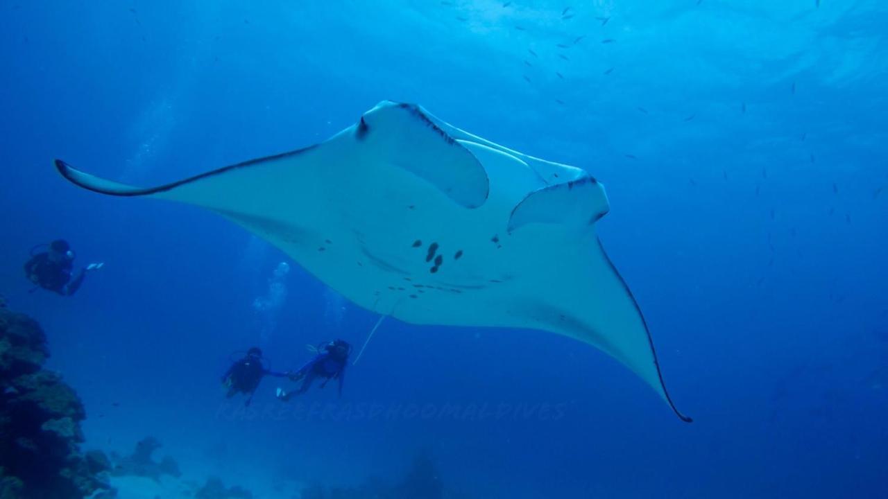 Rasreef Rasdhoo Maldives Ξενοδοχείο Εξωτερικό φωτογραφία