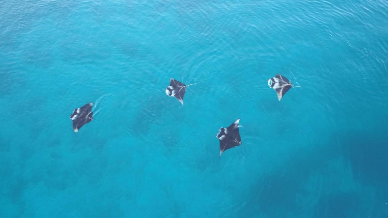 Rasreef Rasdhoo Maldives Ξενοδοχείο Εξωτερικό φωτογραφία
