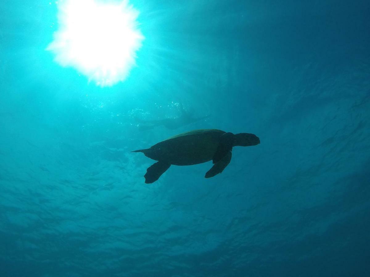 Rasreef Rasdhoo Maldives Ξενοδοχείο Εξωτερικό φωτογραφία